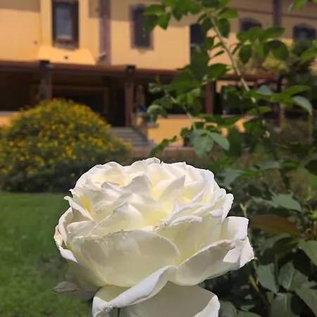 Ξενοδοχείο Boma 3*